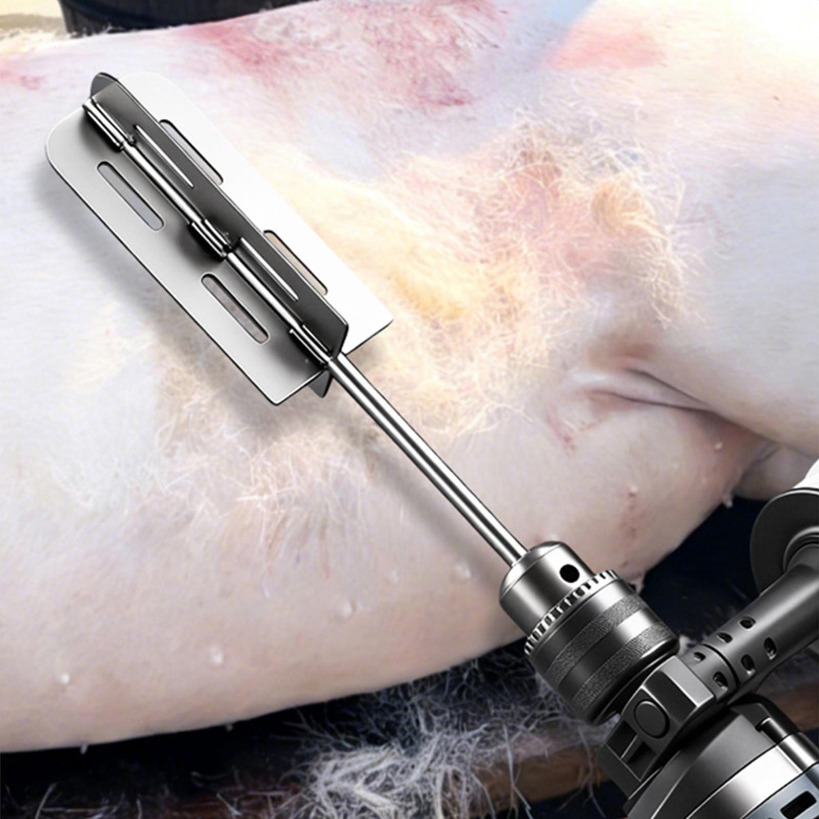 Hog Hair Removal Tool Stainles - đánh giá và giá Power Tools Router